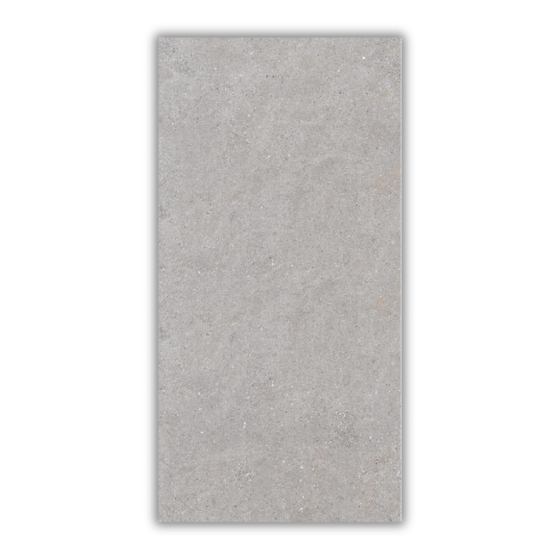 1200x600 Galaxy Grey Matt Porcelain Tile