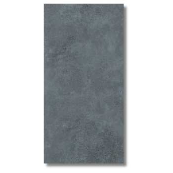 1200x600 Carbon Grey Matt Porcelain Tile