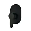 Black Oval Shower Mixer