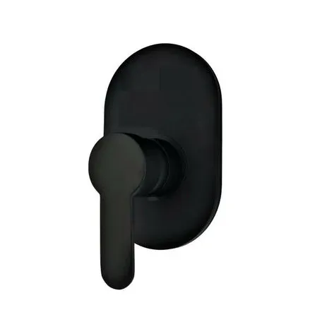 Black Oval Shower Mixer