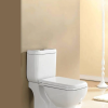 Closed Couple Toilet Set - Eva