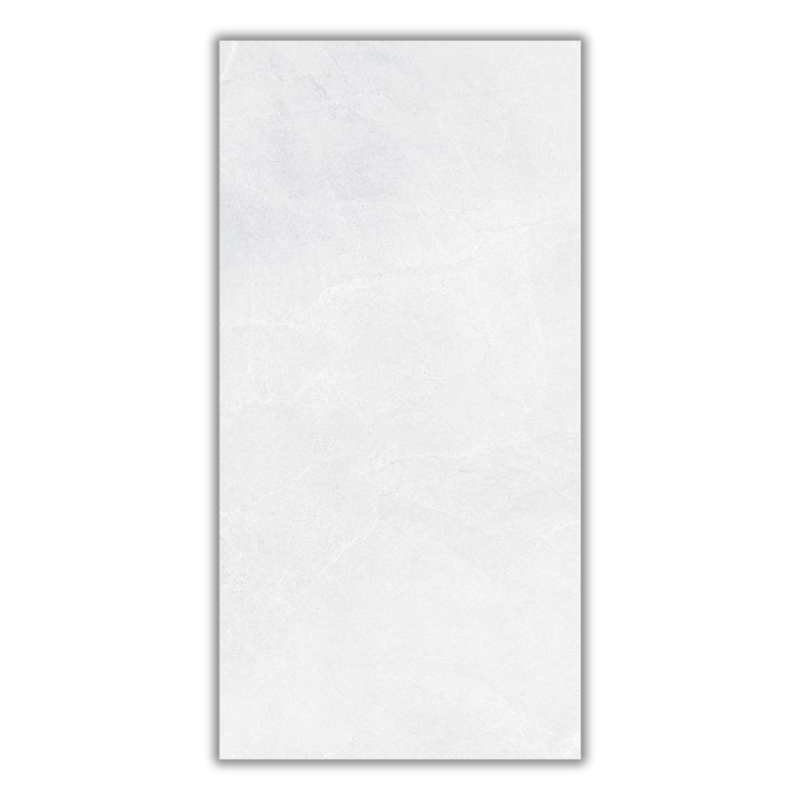 1200x600 Gucci Grey Matt Porcelain Tile