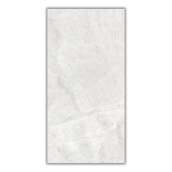 1200x600 Toronto Mist Polished Porcelain Tile